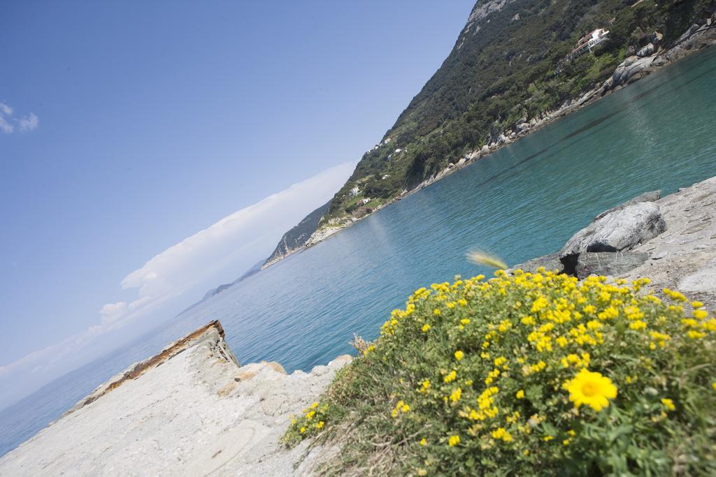 Barsalini 3*